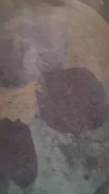 23rdROOM  02-08-2021 Recorded Video Topless